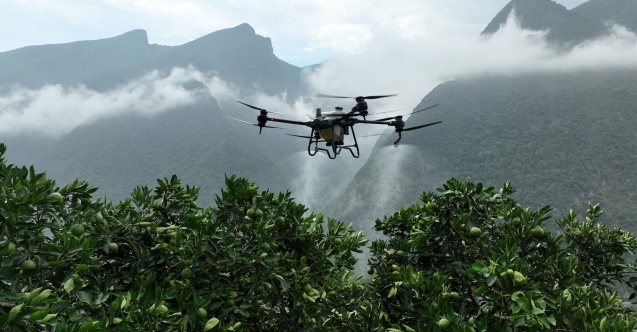 The Global Agricultural Drone Market Is Projected To Reach $1 Billion By 2024